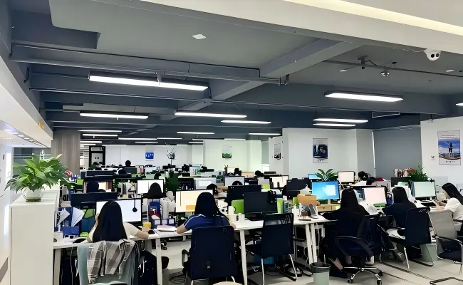 公司优势